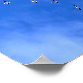 Trekvogels Poster (Hoek)