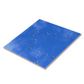 Trekvogels Tegeltje (Zijkant)