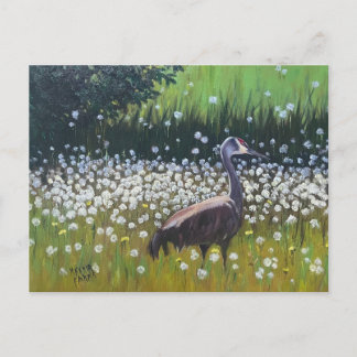 Trekzandhillkraanvogels Briefkaart