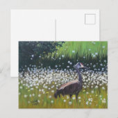 Trekzandhillkraanvogels Briefkaart (Voorkant / Achterkant)