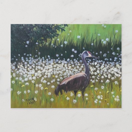 Trekzandhillkraanvogels Briefkaart (Voorkant)