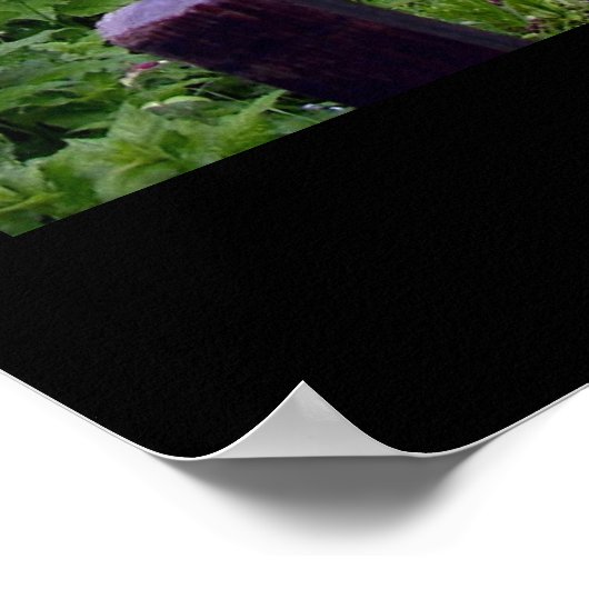 Trellis Tunnel - Duitsland Poster (Hoek)