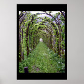 Trellis Tunnel - Duitsland Poster (Voorkant)