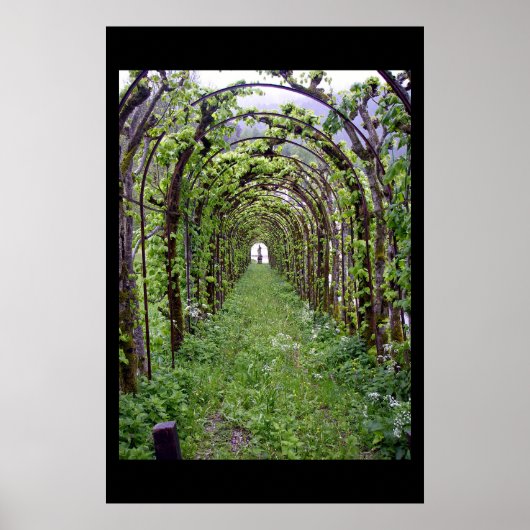 Trellis Tunnel - Duitsland Poster (Voorkant)