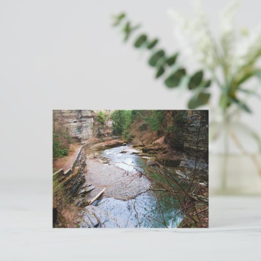 TREMAN STATE PARK, ITHACA, N.Y. briefkaart (Staand voorkant)