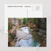 TREMAN STATE PARK, ITHACA, N.Y. briefkaart (Voorkant / Achterkant)