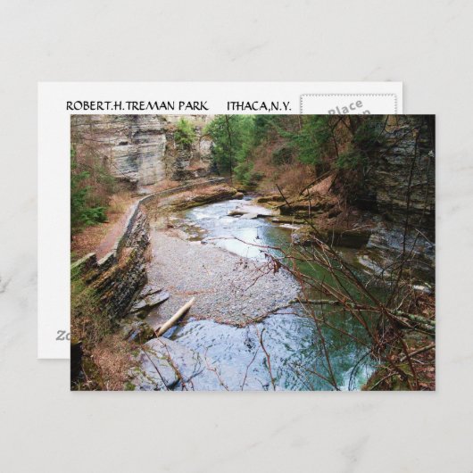TREMAN STATE PARK, ITHACA, N.Y. briefkaart (Voorkant / Achterkant)