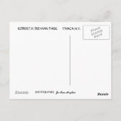 TREMAN STATE PARK, ITHACA, N.Y. briefkaart (Achterkant)