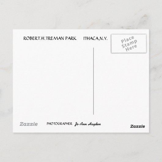 TREMAN STATE PARK, ITHACA, N.Y. briefkaart (Achterkant)