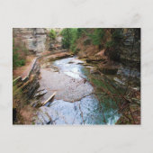 TREMAN STATE PARK, ITHACA, N.Y. briefkaart (Voorkant)