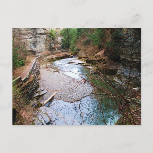 TREMAN STATE PARK, ITHACA, N.Y. briefkaart (Voorkant)