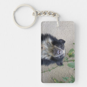 Tremarctos ornatus - Brillenbär Sleutelhanger