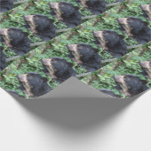 Tremarctos ornatus cadeaupapier (Hoek)