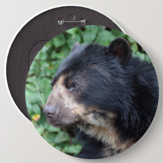 Tremarctos ornatus ronde button 6,0 cm (Voorkant /achterkant)