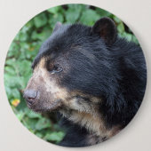 Tremarctos ornatus ronde button 6,0 cm (Voorkant)