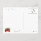 Trenches Newfoundland Park Briefkaart (Achterkant)