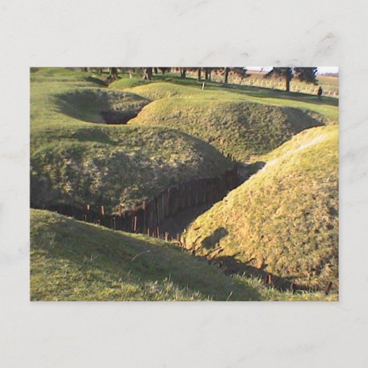 Trenches Newfoundland Park Briefkaart (Voorkant)