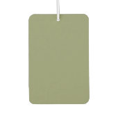 Trend Color Reed Groene Luchtverfrisser (Voorkant)