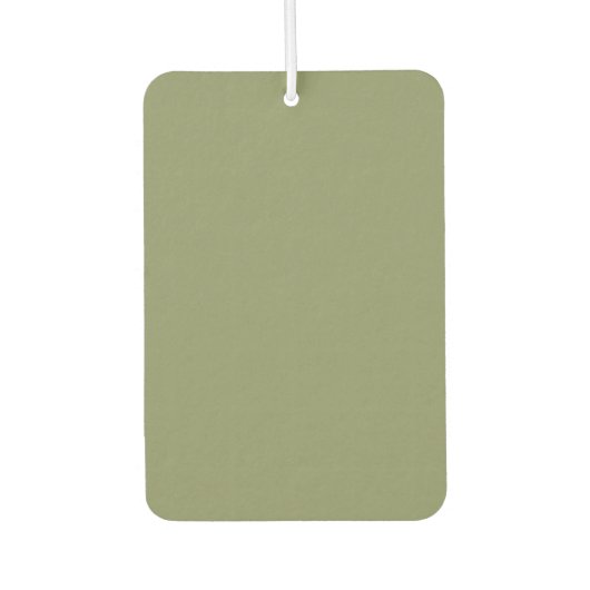 Trend Color Reed Groene Luchtverfrisser (Voorkant)