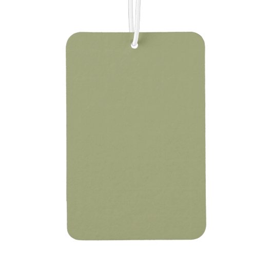 Trend Color Reed Groene Luchtverfrisser (Achterkant)