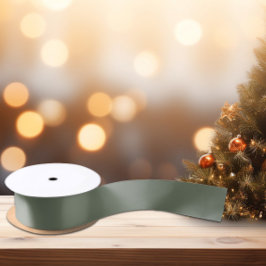 Trend Kleur Gedempt Groen Grijs Satijnen Lint