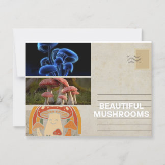 trendkaart met speelse paddenstoel briefkaart