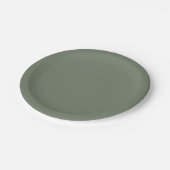 Trendkleur Muted Greenish Grey Papieren Bordje (Gekanteld)