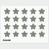 Trendkleur Muted Greenish Grey Ster Sticker (Vel)