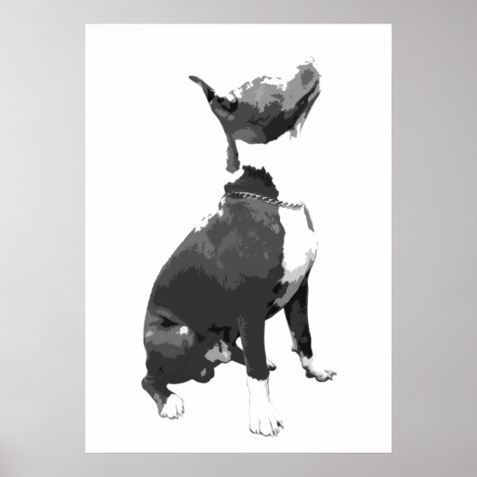 Trendy Black and white Pit Bull dog Poster (Voorkant)