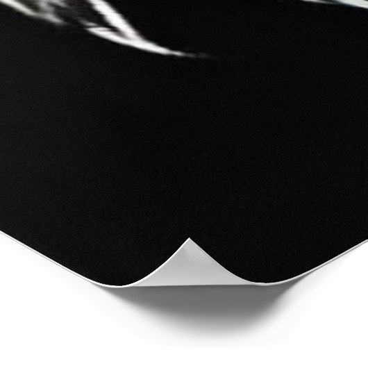 Trendy Black & White Eagle Poster (Hoek)