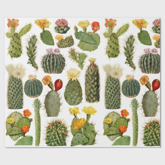 Trendy  Cactus Pattern Cadeaupapier (Vlak)
