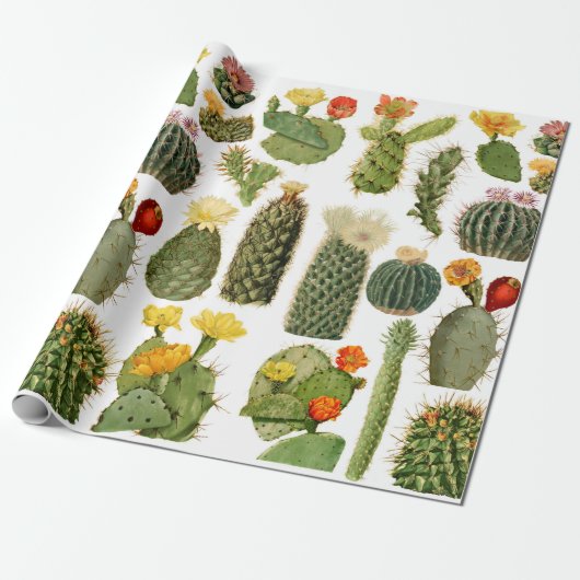 Trendy Cactus Pattern Cadeaupapier (Uitgerold)