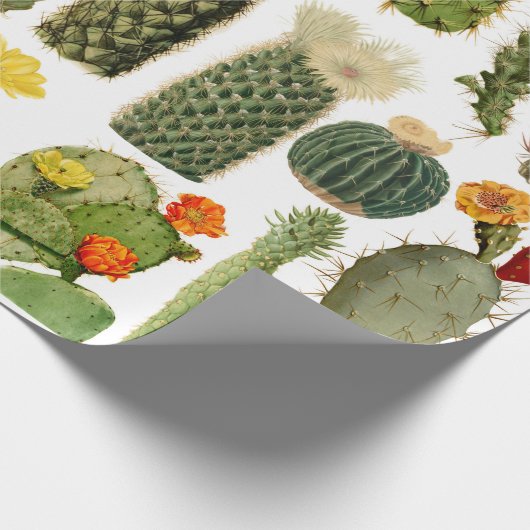 Trendy Cactus Pattern Cadeaupapier (Hoek)