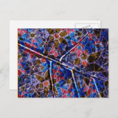 Trendy Floral Pattern  Briefkaart (Voorkant / Achterkant)