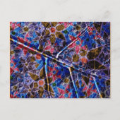 Trendy Floral Pattern  Briefkaart (Voorkant)