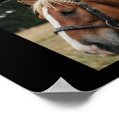 Trendy Fotocollage Gepersonaliseerde Paardenliefhe Poster (Hoek)