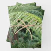 Trendy Fresh Fern Achtergrond Set van 3 Inpakpapier Vel (In situ)