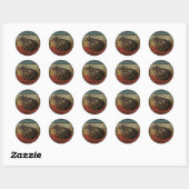 TRENDY  FROG RONDE STICKER (Vel)
