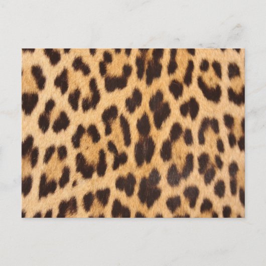 trendy girly chic wild safari leopard print briefkaart (Voorkant)