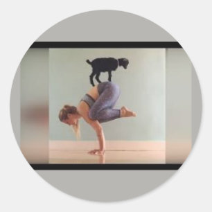 Trendy Goat Yoga, Ladiy & Goat op Sticker