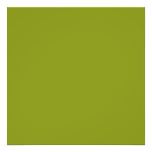 Trendy Groen (effen kleur) Foto Afdruk