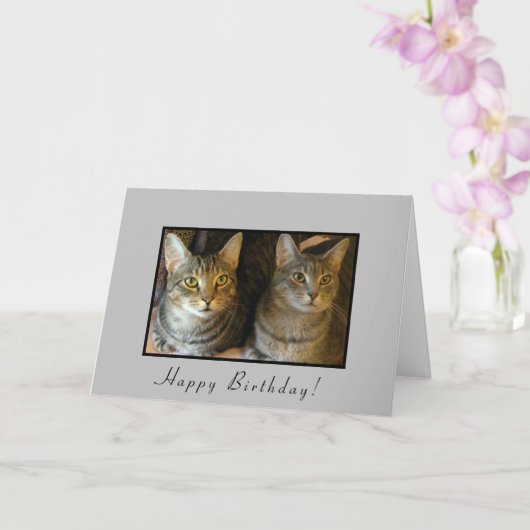 Trendy Happy Birthday Katten Kaart (Orchidee)