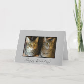 Trendy Happy Birthday Katten Kaart (Voorkant)
