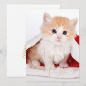 Trendy huisdierliefhebbers prettig kerstfeest feestdagenkaart (Voorkant / Achterkant)