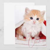 Trendy huisdierliefhebbers prettig kerstfeest feestdagenkaart (Voorkant / Achterkant)