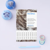 Trendy huisdierzitdiensten en moderne bontfoto flyer (Enkel)