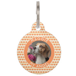 Trendy kattenvader cadeau chevronprint huisdierpenning