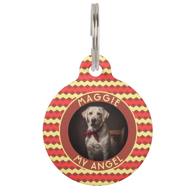 Trendy kattenvadercadeau Chevron Checkers Huisdierpenning (Voorkant)
