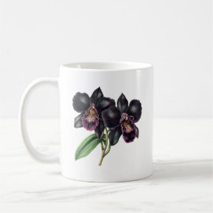 Trendy klassieke en zwarte orchidee koffie mok