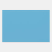 Trendy Light Cerulean Blauw Wrapping Papier Bladen Inpakpapier Vel (Voorkant 3)